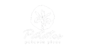 Patacos Patacón Pisao